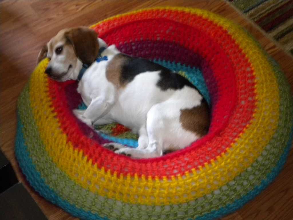 Knitted dog bed pattern