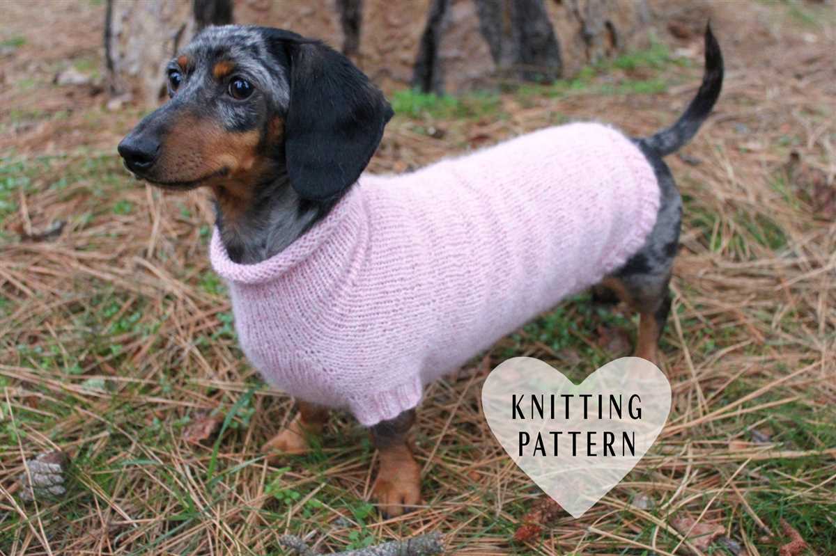 Knitting pattern dachshund sweater