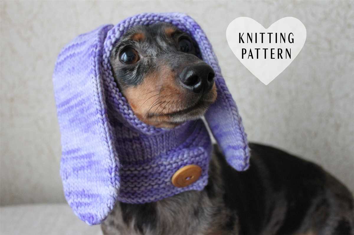 Knitting pattern dachshund sweater