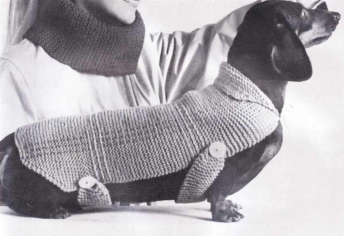 Knitting pattern for dog sweater beginner free