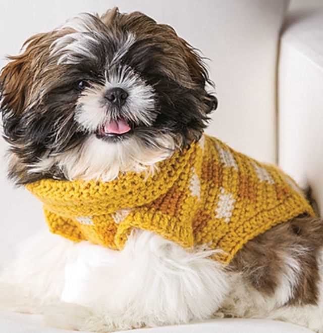 A Guide to Crafting Stylish Clothes for Your Furry Friends - Knitting Patterns for Pets Knitting patterns for pets clothes