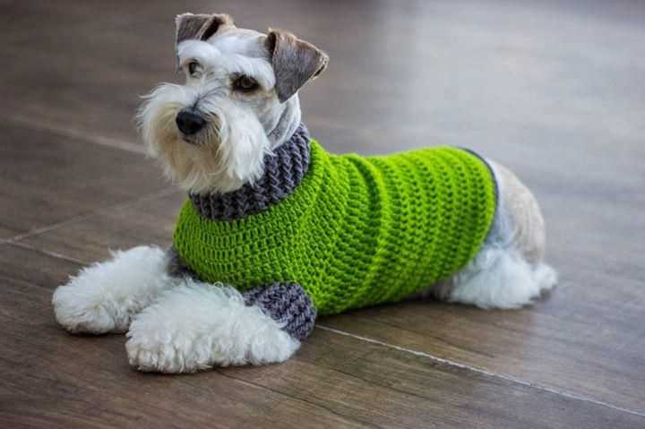 Knitting patterns for pets clothes