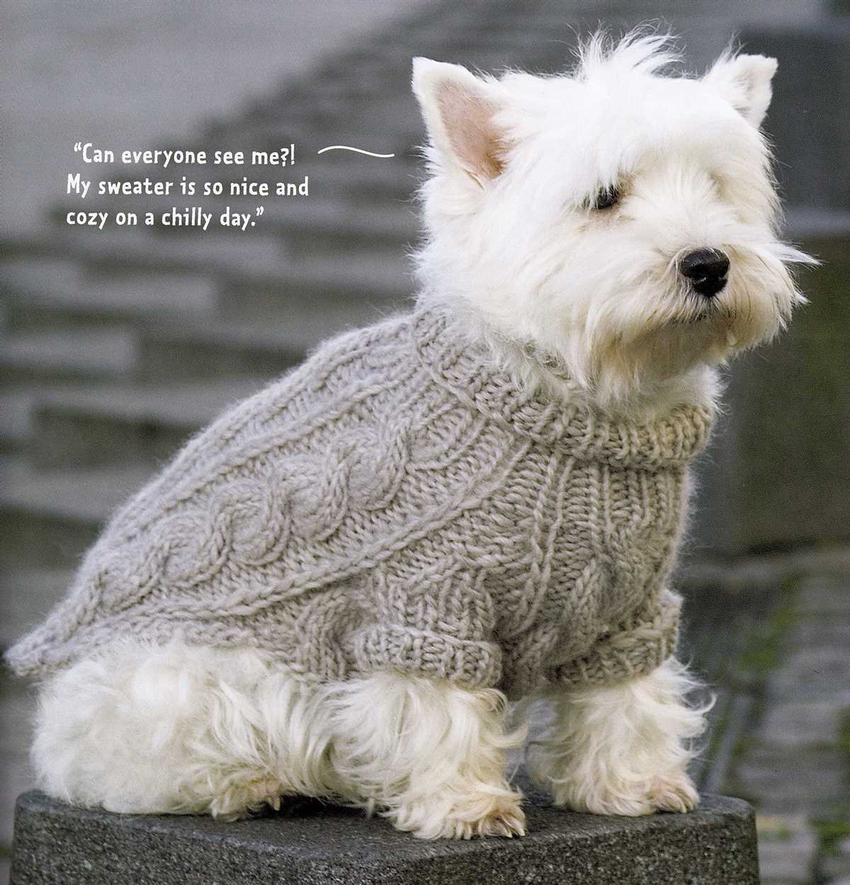 Knitting patterns for pets clothes