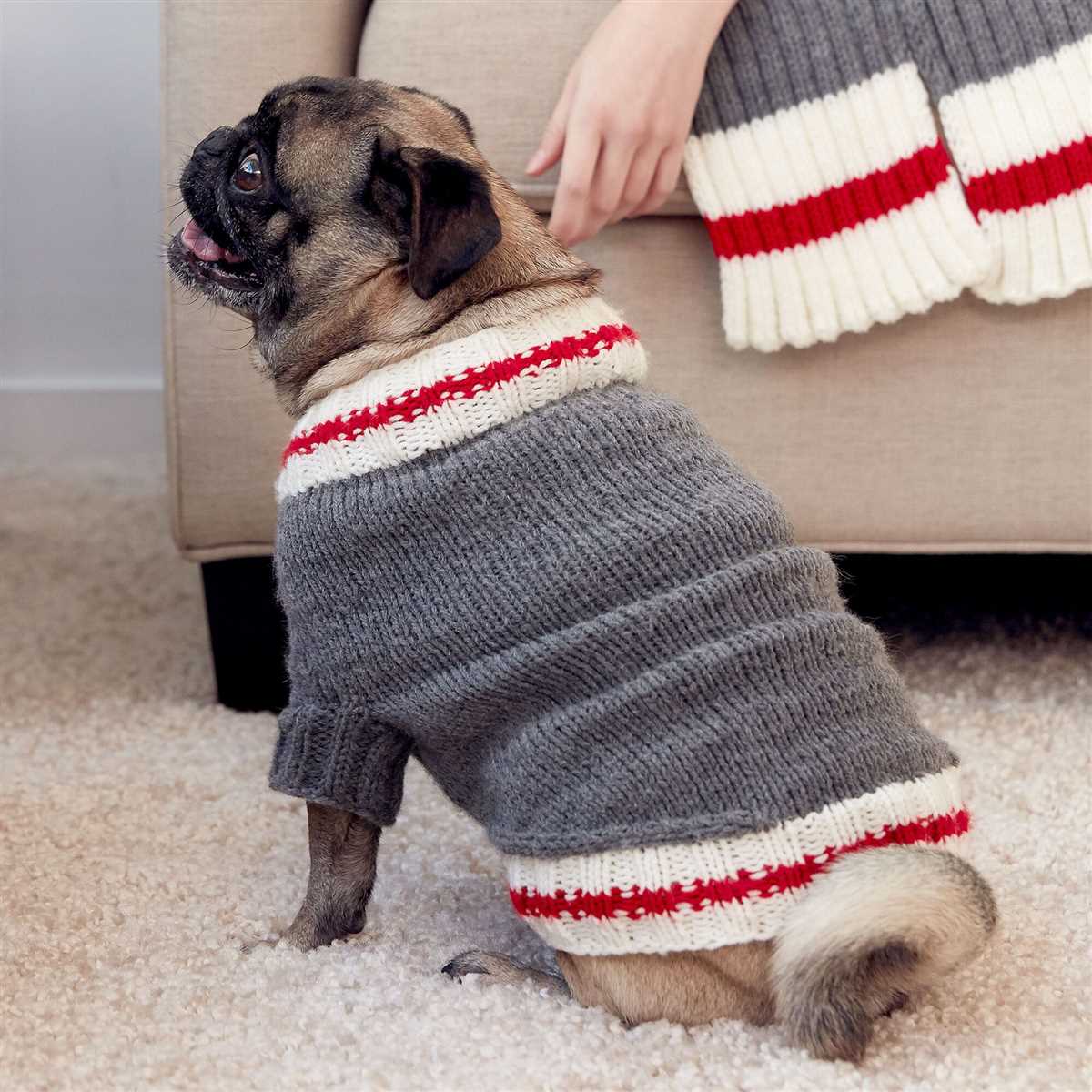 Knitting patterns for small dog sweaters
