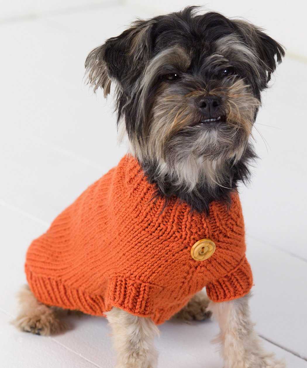 Knit your furry friend's fashion statement - Stylish sweaters for pint-sized pups Knitting patterns for small dog sweaters