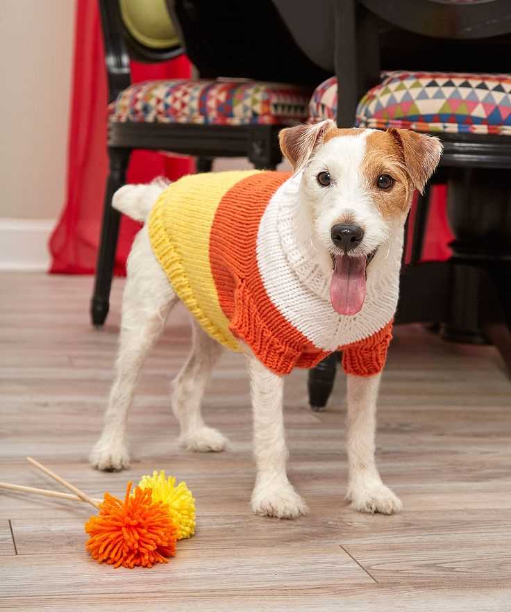 Knitting patterns for small dog sweaters