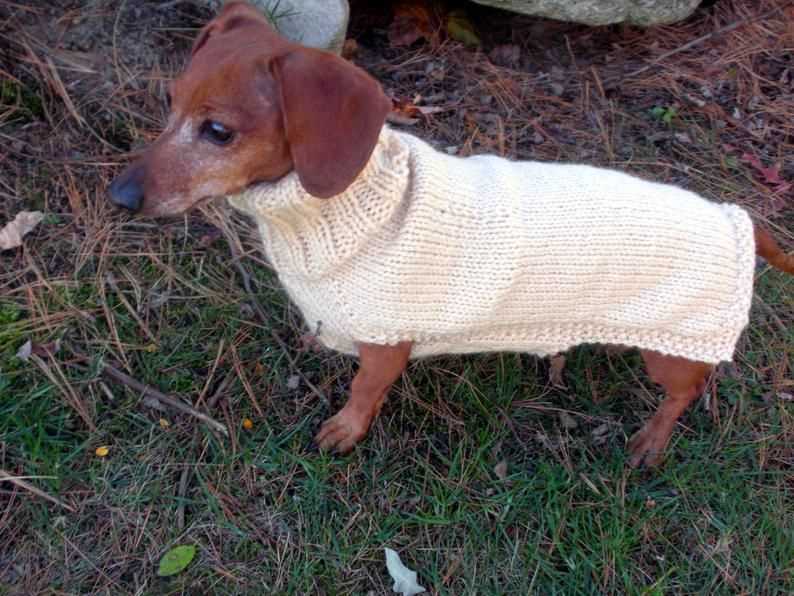 Knitting pattern dachshund sweater