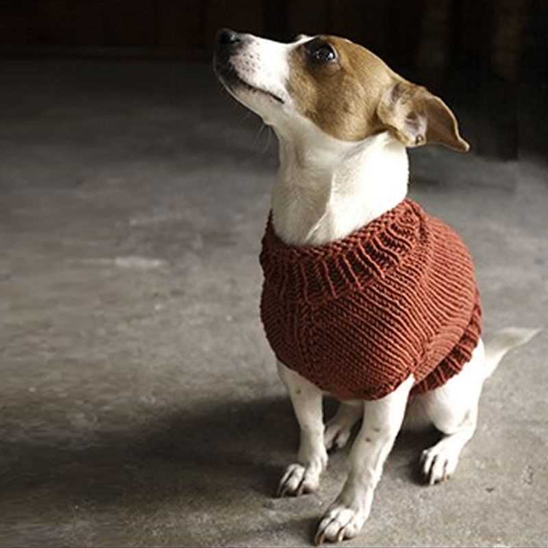 Knitting pattern dachshund sweater