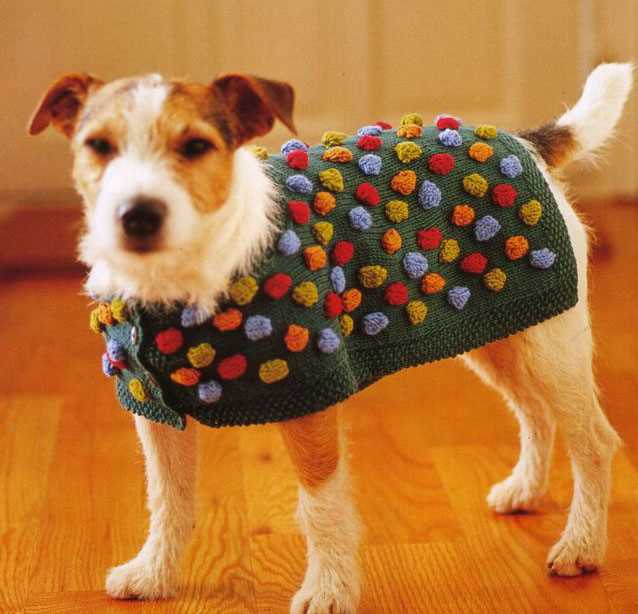 Knitting pattern for dog socks