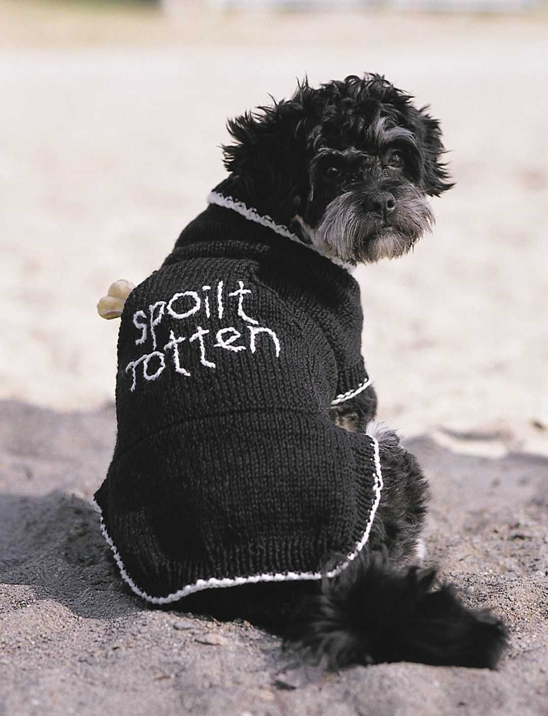 Knitting patterns for pets clothes