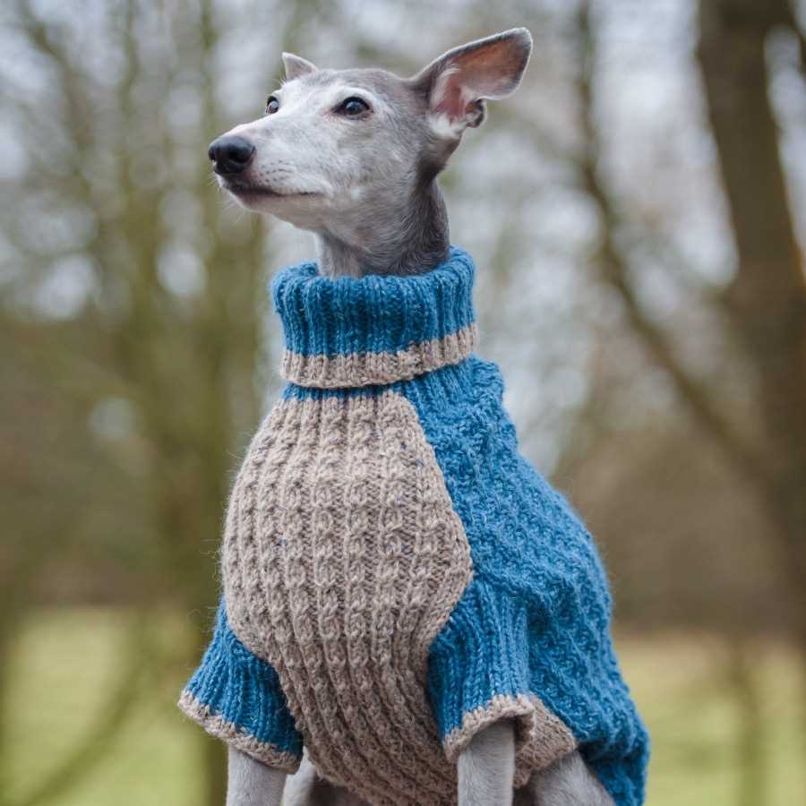 Knitting patterns free for dogs