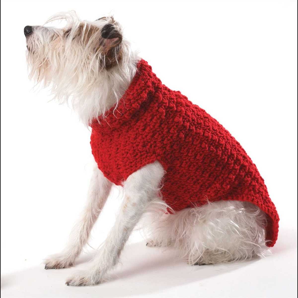 Knitting patterns free for dogs