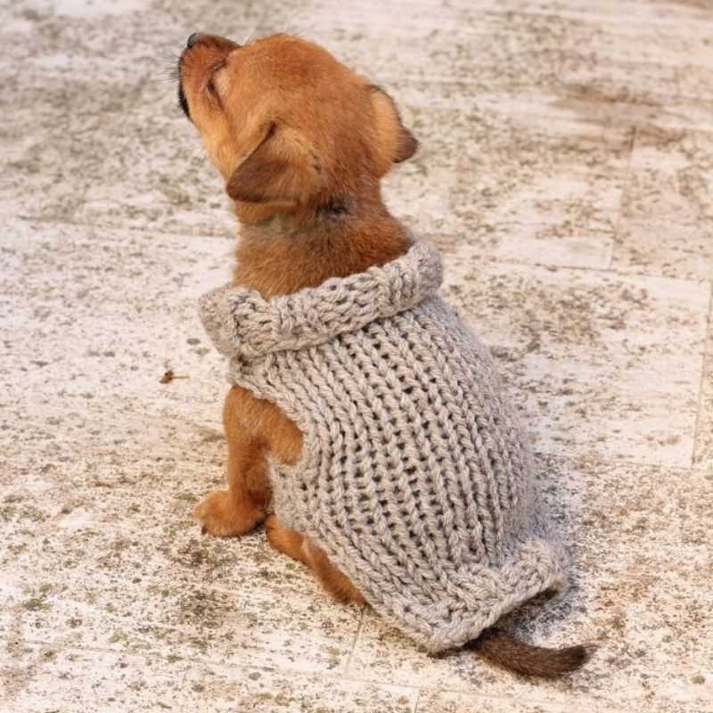 Basic knitted dog sweater pattern
