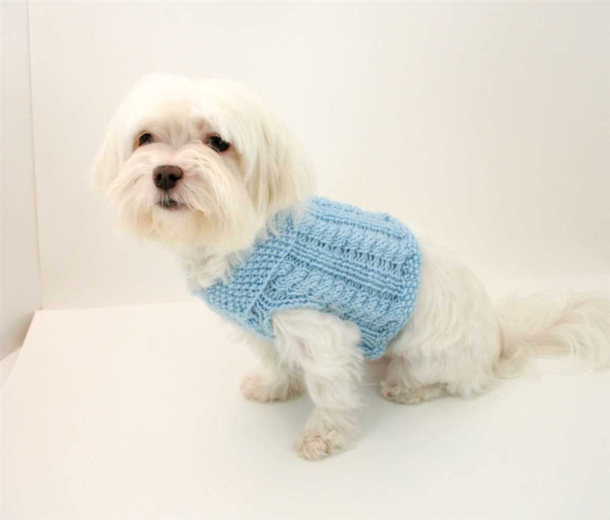 Knitting patterns for small dog sweaters