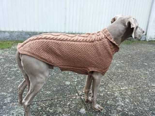 Loom knit dog sweater pattern