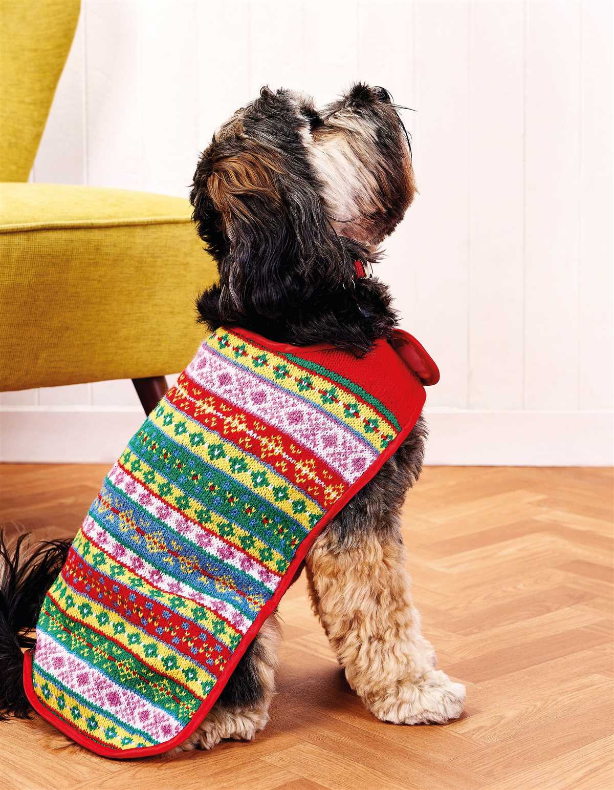 Free dog coat knitting pattern uk