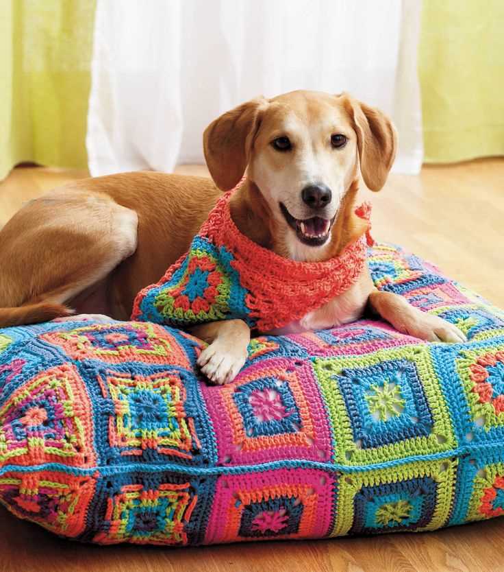 Knitted bandana pattern for dogs