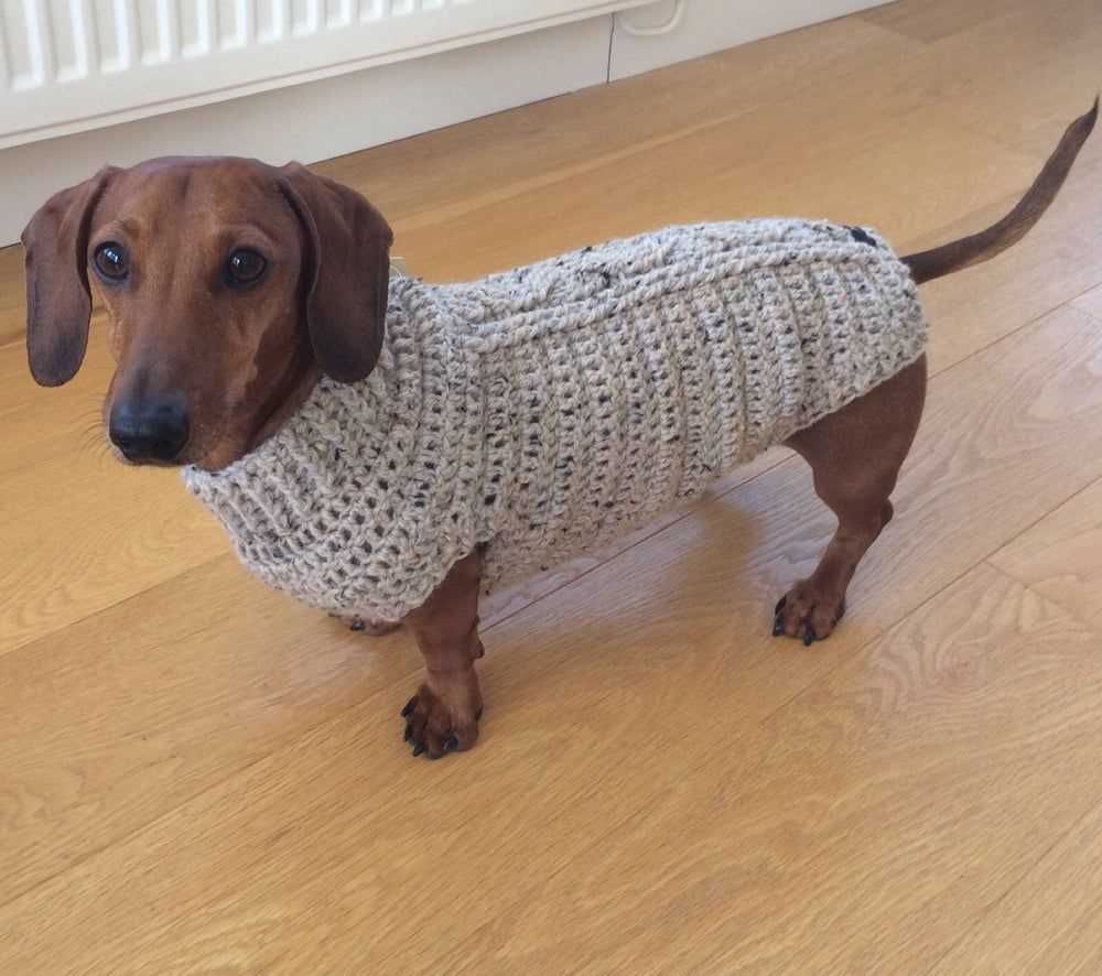 Mini dachshund sweater knitting pattern free