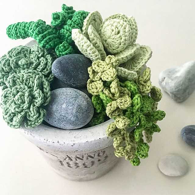 Knit succulent pattern