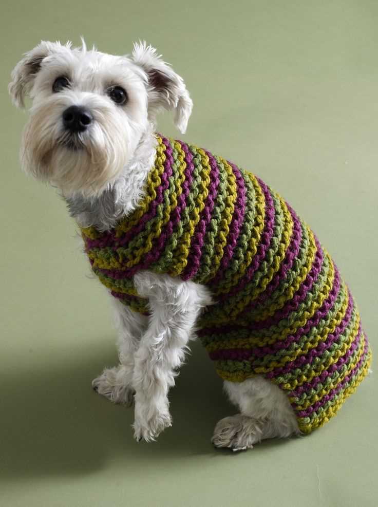 Dog sweater pattern knit