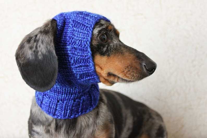 Knitting pattern dog hat