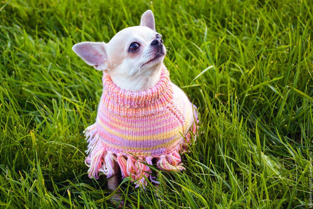 Dog poncho knitting pattern