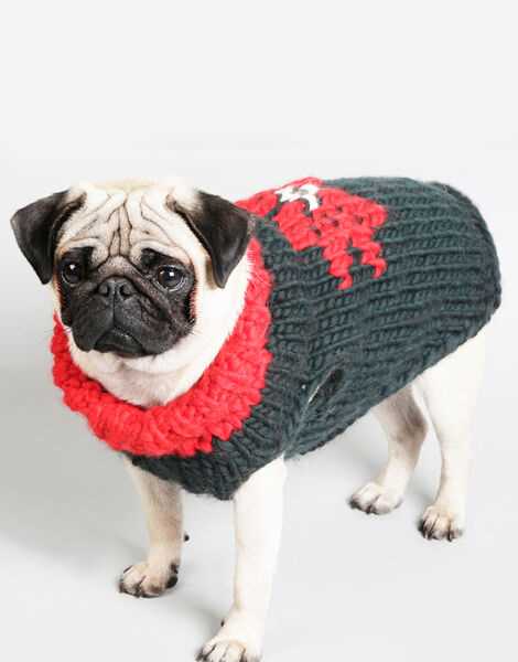 Free knitting patterns for dog sweaters on straight needles