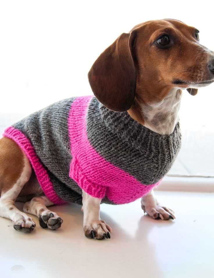 Free knitting patterns for puppies