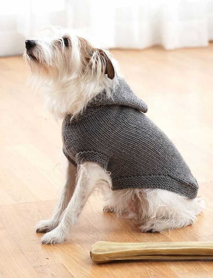 Dog sweater pattern knit