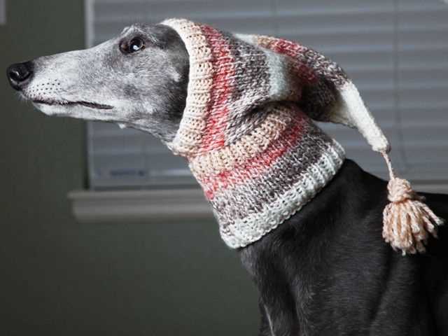 Greyhound hat knitting pattern