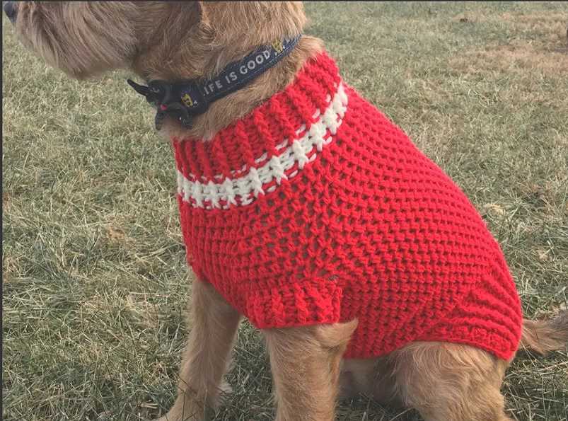 Free knitting patterns for small dog sweaters uk