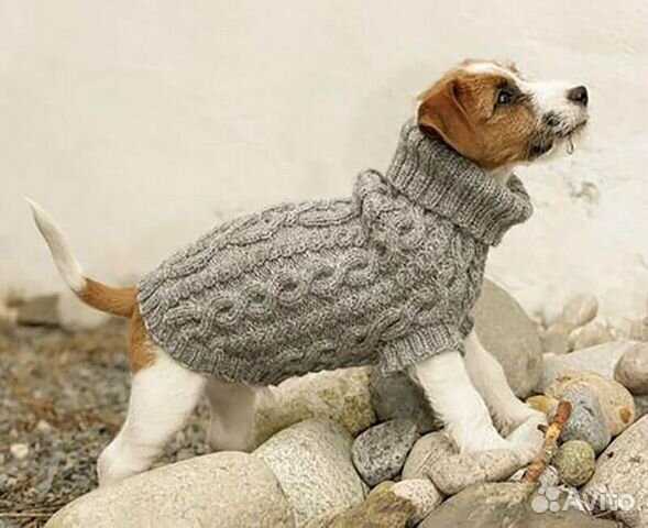 Knitting pattern for dog socks