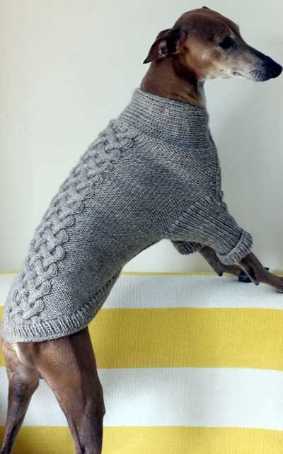 Create a Stylish Knit Coat for Your Greyhound with This Pattern Greyhound knitting pattern coat