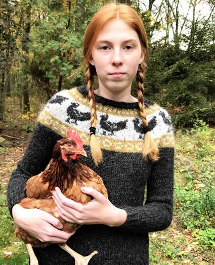 Jumpers for chickens knitting pattern