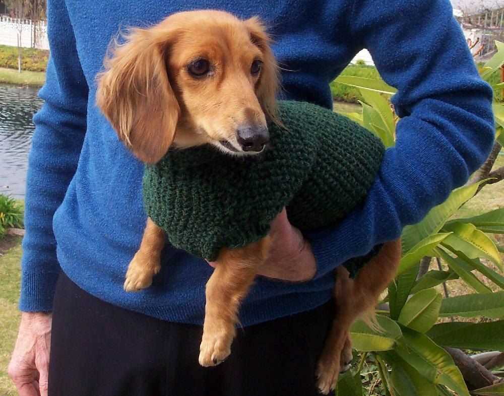 Knitting pattern dachshund sweater