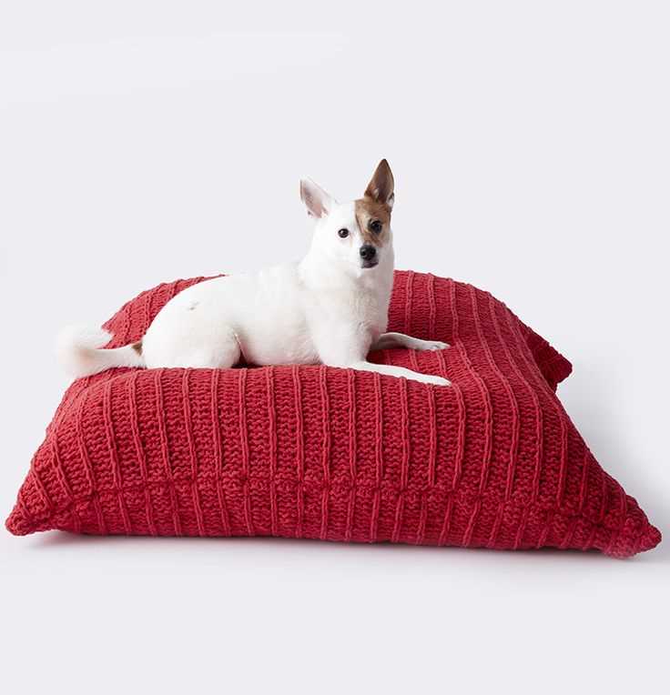 Easy pattern for knitted dog sweater
