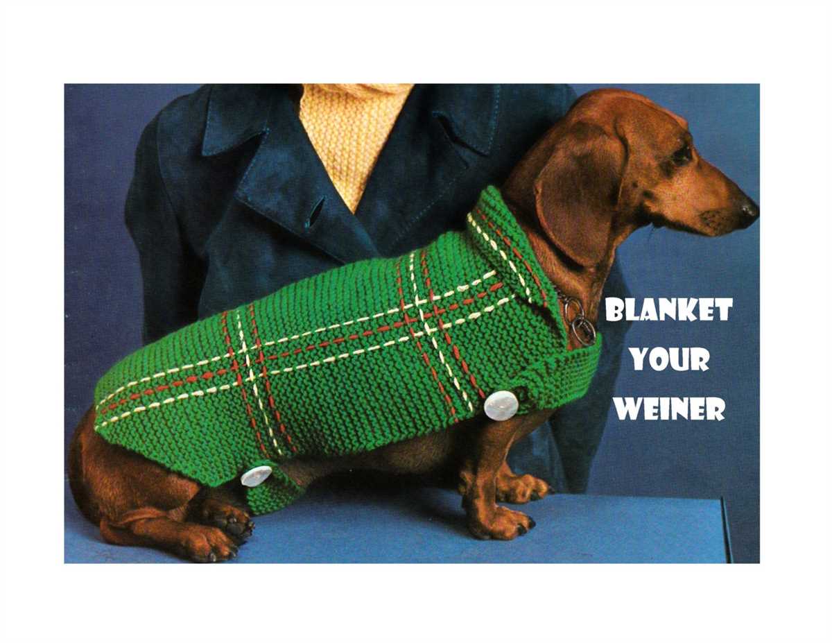 Knitting pattern for dog christmas sweater