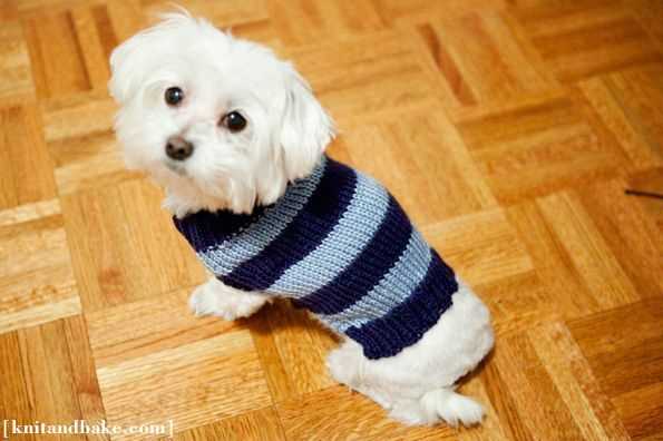 Free easy dog sweater patterns to knit
