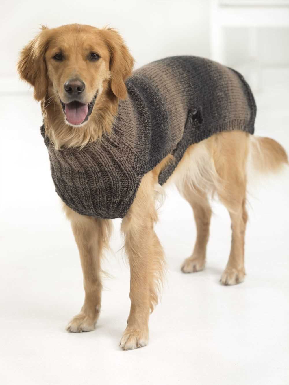 Dog sweater pattern knit