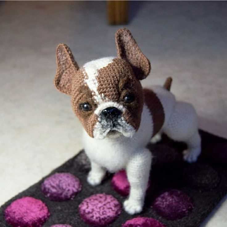Bulldog knitting pattern free
