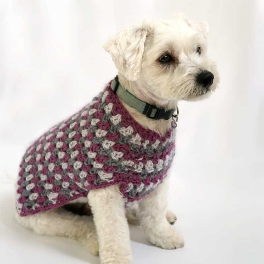 Free knitting dog coat patterns