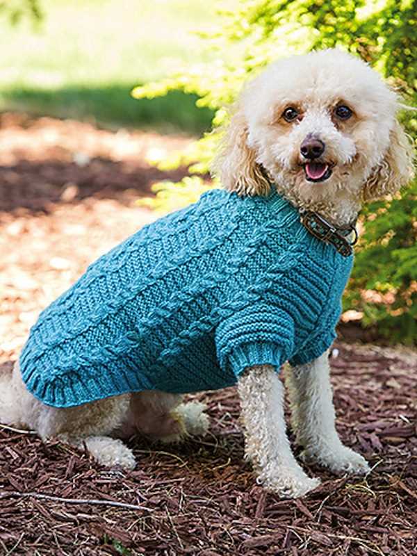 Knit pattern dog sweater