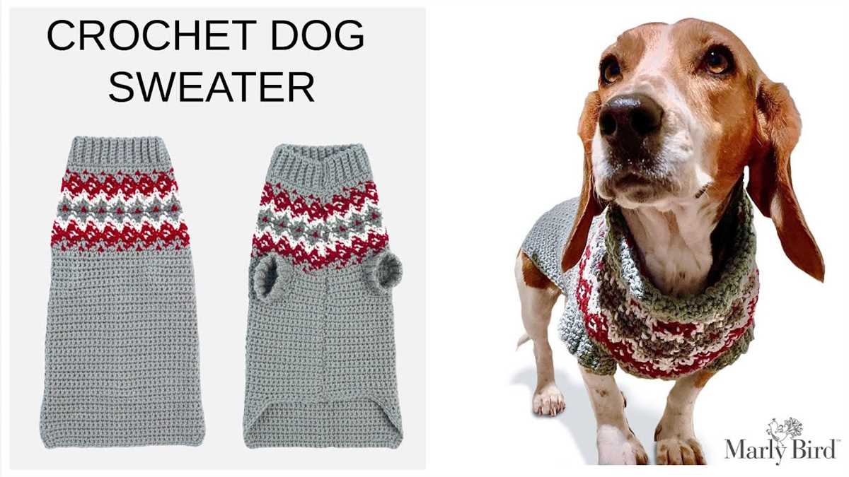 Free knitted dog sweater patterns for large dogs
