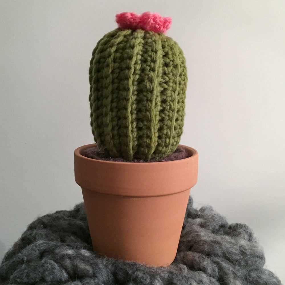 Knit cactus pattern free