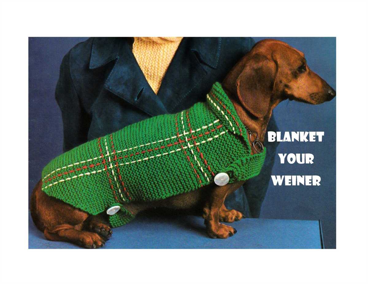 Knitting pattern dachshund sweater
