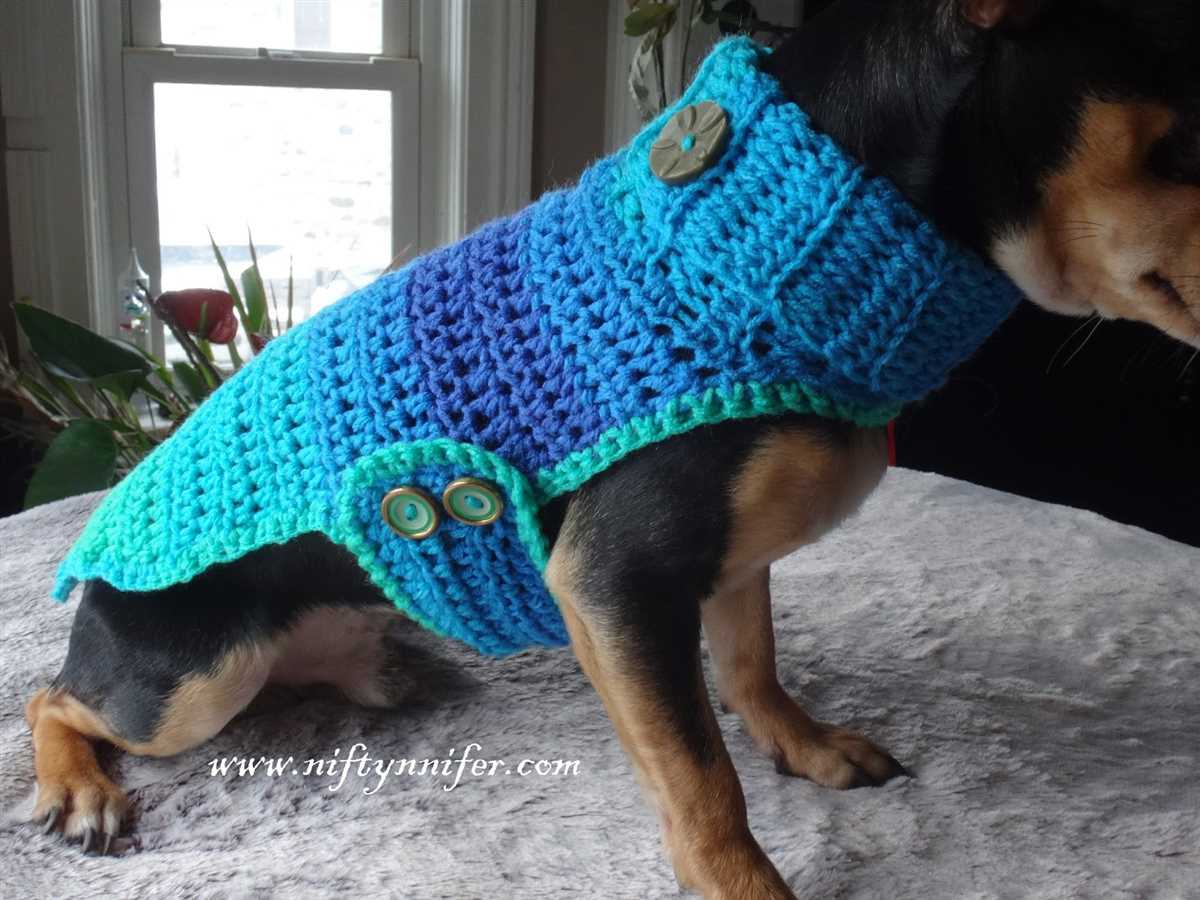 Free knitting patterns for chihuahua dogs