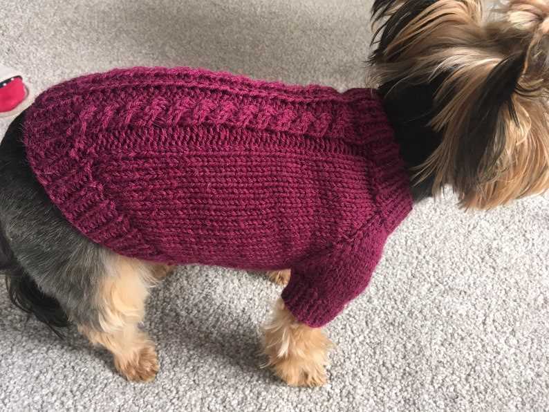 Dog sweater pattern knit