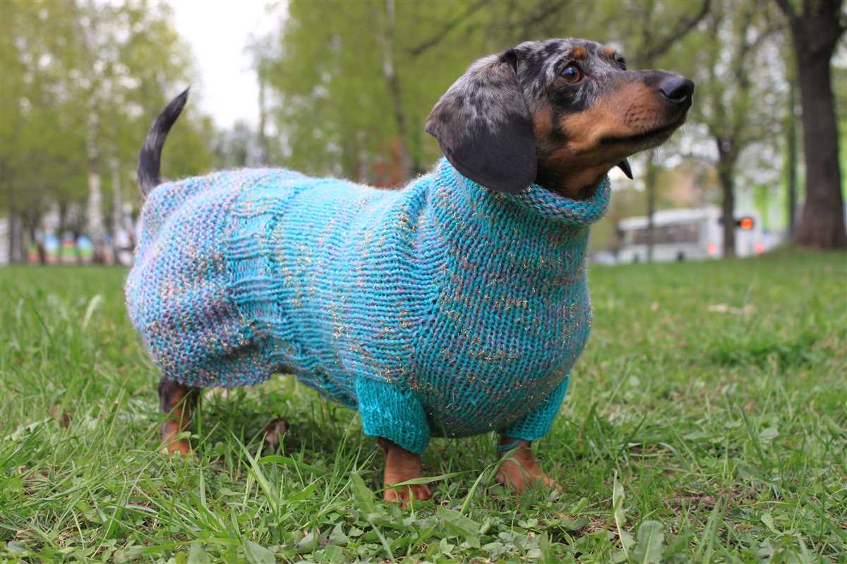 Knitting pattern dachshund sweater