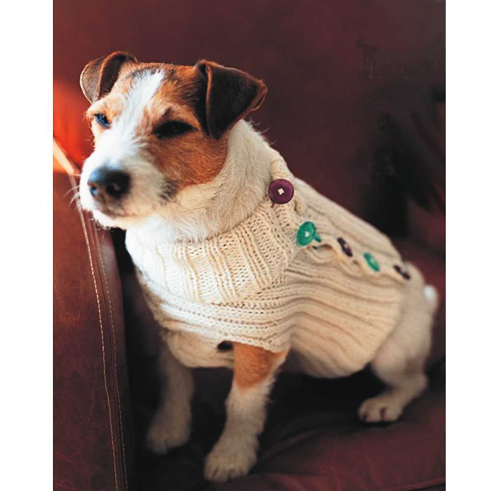 Knitting patterns free for dogs