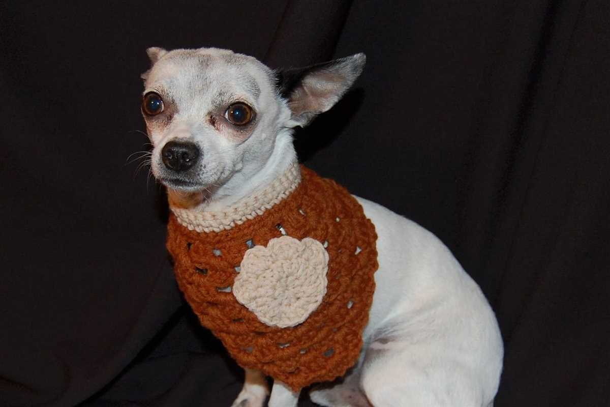 Free knitting patterns for chihuahua dogs